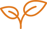 leaf icon